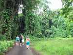A hike to maunawili (5)