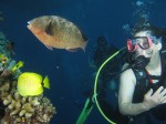 A scuba diving trip (11)