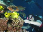 A scuba diving trip (12)