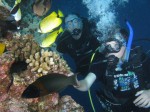 A scuba diving trip (13)